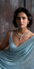 Dazzling All Over Sequin Saree For Modern Women